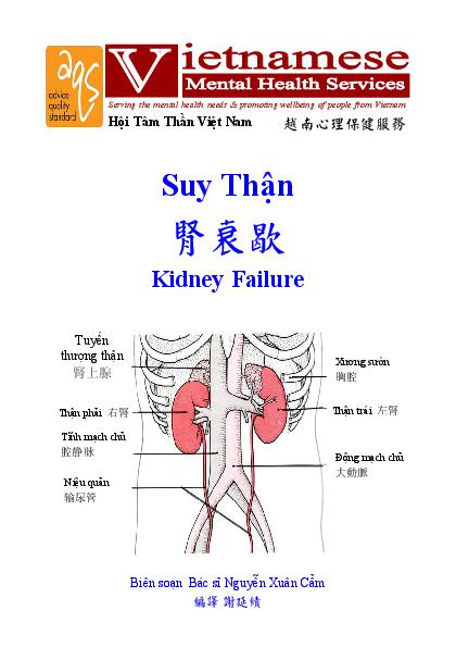 Kidney Falure Vn Cn