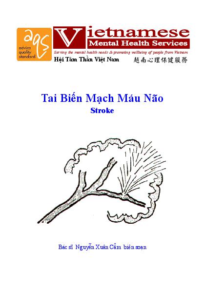 Stroke Vn